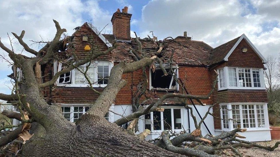 Fallen tree damage to a residential property