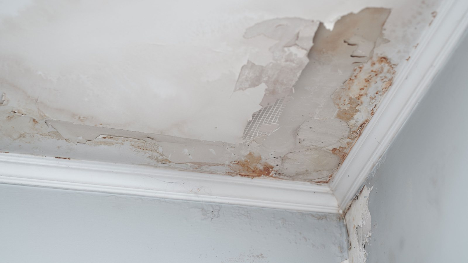 Water damaged ceiling from a roof leak