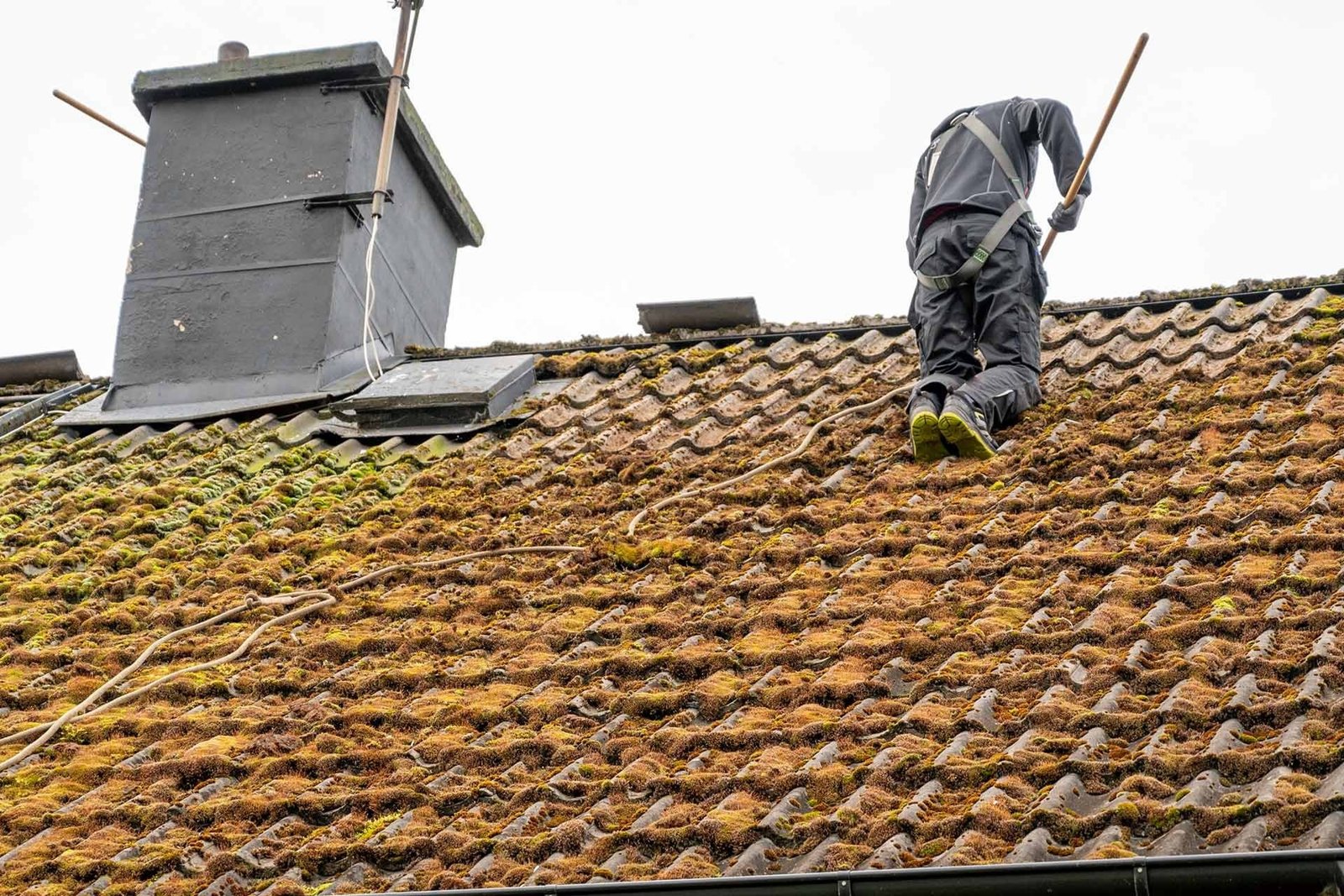 Roofer removing moss from a tiled roof